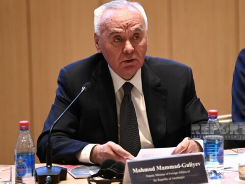 “Ermənistan UNESCO missiyasının Azərbaycana göndərilməsinə mane olub”
