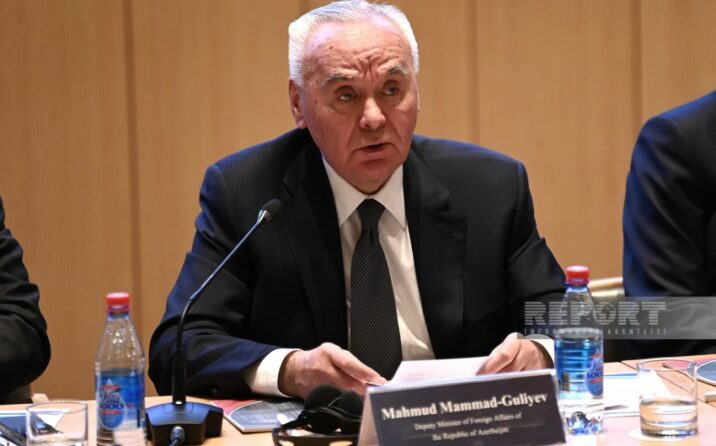 “Ermənistan UNESCO missiyasının Azərbaycana göndərilməsinə mane olub”