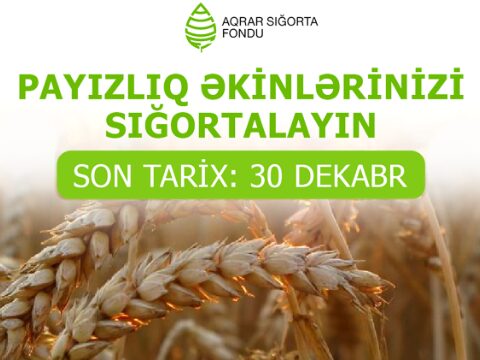 Fermerlərin nəzərinə – Payızlıq əkinlərinizi dekabrın 30-dək sığortalayın