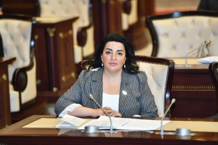 Sülhməramlıların öz mandatlarından kənar hərəkətləri yolverilməzdir
