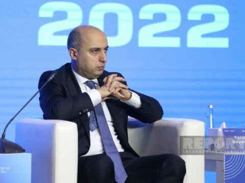 “Məzunların yalnız 50 faizdən bir qədər çoxu iş tapa bilir”