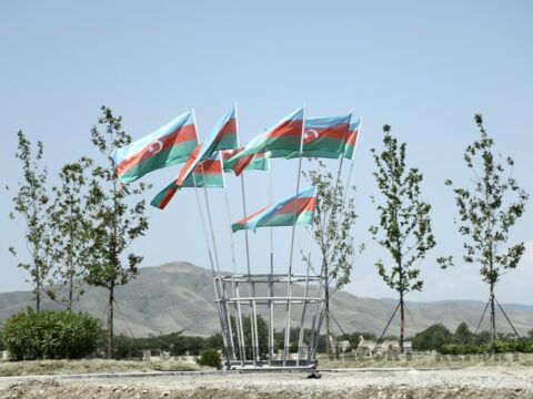 Cəbrayıl, Zəngilan, Füzuli və Ağdamda meşə-parkların salınmasına başlanılıb