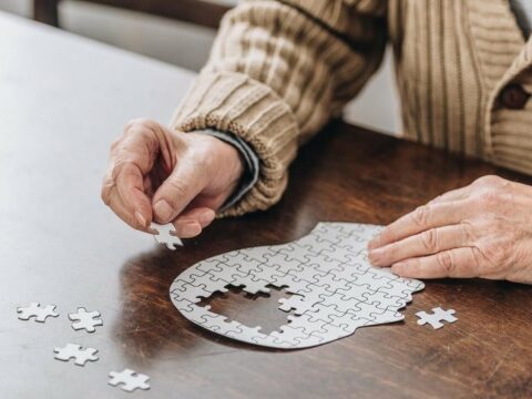 Alimlər alzheymerin inkişafını ləngitməyin yolunu tapıblar