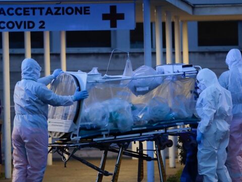 Gürcüstanda 12 növ virus AŞKARLANIB