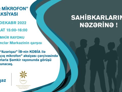 Sahibkarlarla növbəti görüş Şəmkir rayonunda keçiriləcək