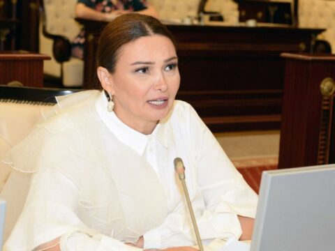 “Prezident İlham Əliyev yalnız dəyərləri qorumur, özü dəyər yaradır”