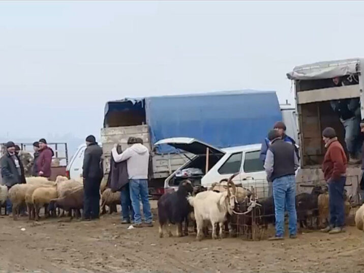 Bayramqabağı ətin qiyməti artdı, qoyun 200, quzu 230 manat oldu – VİDEO