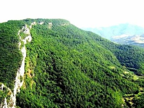 Topxana meşəsi ilə bağlı təkliflər hazırlanır