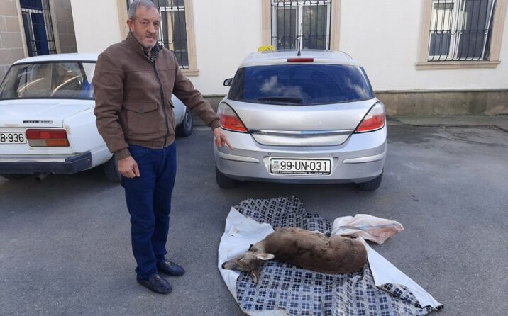 Qanunsuz cüyür ovlayan şəxslər saxlanıldı