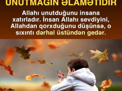 “Əgər həyatında üzüntü və sıxıntılar bitmək bilmirsə, Quranla əlaqələrinə fikir ver…”