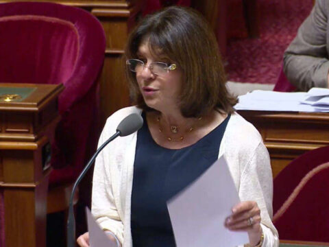 Fransa senatoru səfirliyimizin əməkdaşının qətlini PİSLƏDİ 