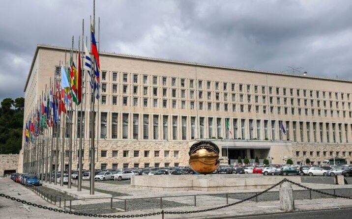 Səfirliyə qorxaqcasına hücuma görə həmrəyliyimizi bildiririk