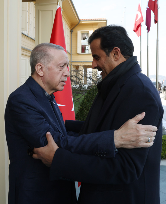 Ərdoğan Qətər əmiri ilə görüşdü