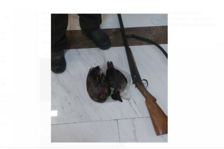 Qanunsuz ov edən şəxs saxlanıldı