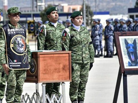 Türkiyədə ölən it Meksika bayrağında dəfn edildi