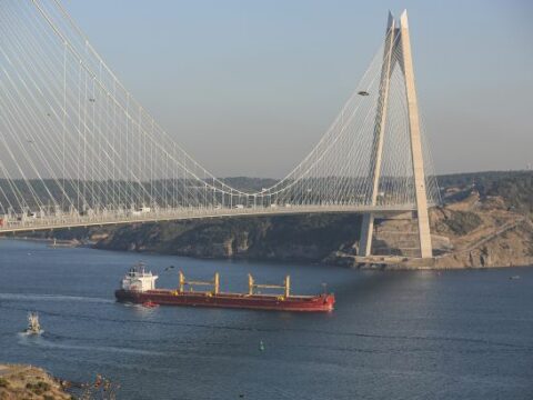 Ukrayna taxıl sazişinin bir il uzadılmasını istəyir