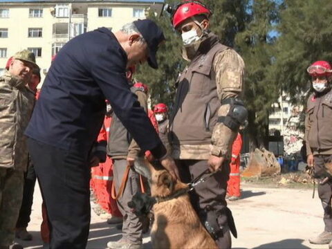 Dağıntılar altından 326 nəfərin həyatını xilas etdilər