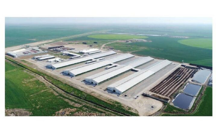 Azərbaycanda aqroparkların ərazilərində emal müəssisələri yaradıla bilər