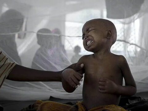 “Afrika ölkələrində vəba epidemiyası sürətlə yayılır”
