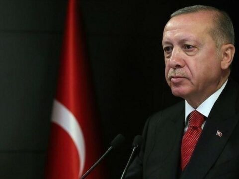 “Yaxın aylarda “Akkuyu” AES-in ilk enerji bloku işə salınacaq”