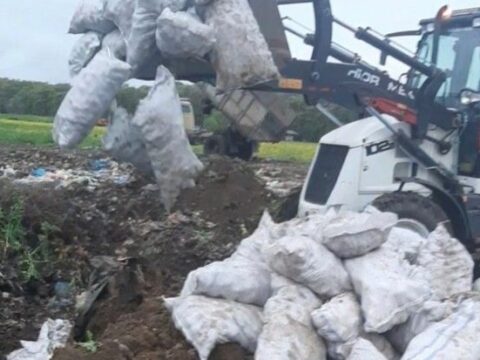 İrandan Azərbaycana gətirilən tonlarla kartof məhv edilib