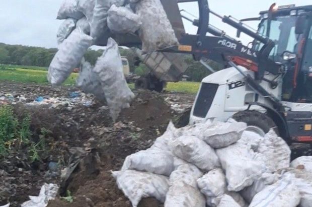 İrandan Azərbaycana gətirilən tonlarla kartof məhv edilib