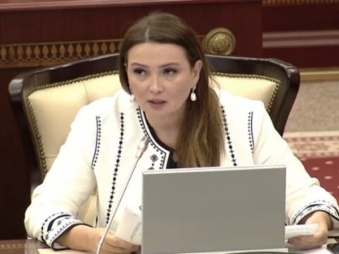 Qənirə Paşayeva parlamentdə vacib mövzulara toxunub