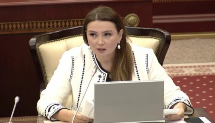 Qənirə Paşayeva parlamentdə vacib mövzulara toxunub