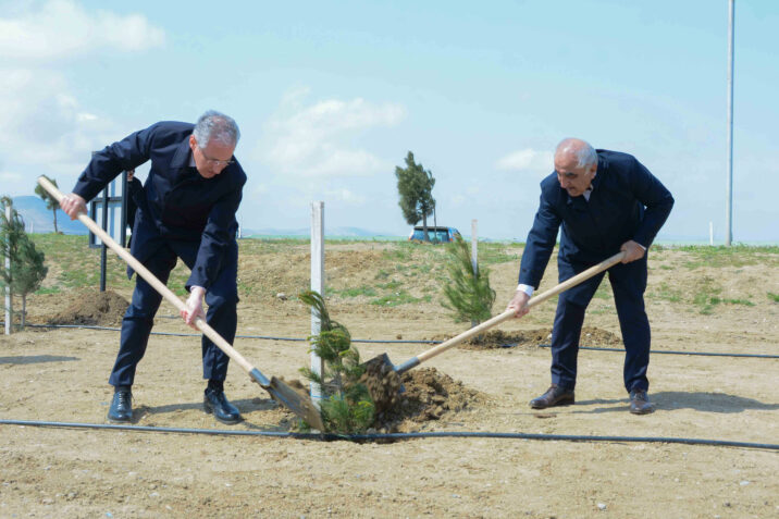 UNEC “Heydər Əliyev İli” çərçivəsində  ağacəkmə aksiyasına qoşuldu