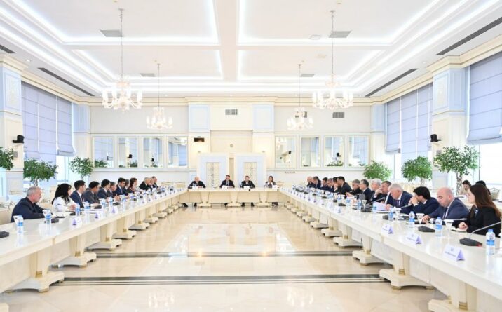 Elektroenergetika haqqında qanun plenar iclasa tövsiyə edildi 