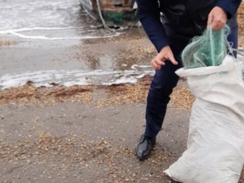 Qanunsuz ov edən şəxslər cəzalandırılıb