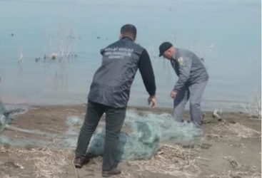 Hövzələri sintetik torlardan birlikdə təmizləyək