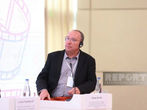 “Fin Film Festivalını Azərbaycana gətirmək olar”