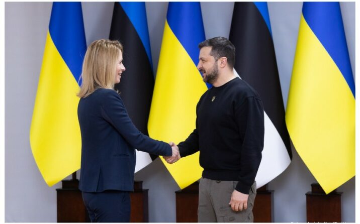 Estoniya Baş naziri Zelenski ilə görüşdü 