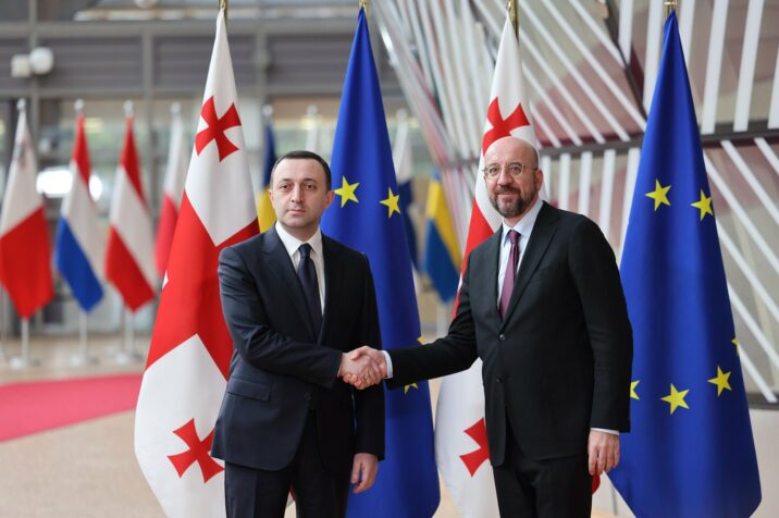 Qaribaşvili Şarl Mişellə görüşdü