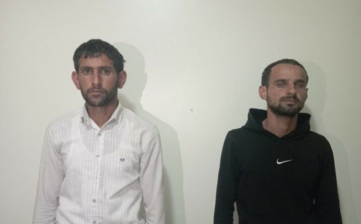 Şirvanda narkotik tərkibli bitkilərin kultivasiyası ilə məşğul olan iki nəfər saxlanılıb