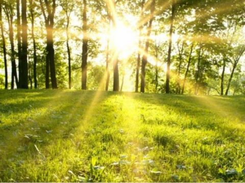 Apreldə temperatur normadan yüksək olub