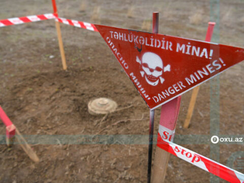 “Minalar Azərbaycan və Ukraynada uşaqları öldürməkdə davam edir”