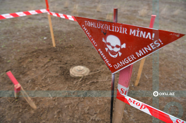 “Minalar Azərbaycan və Ukraynada uşaqları öldürməkdə davam edir”