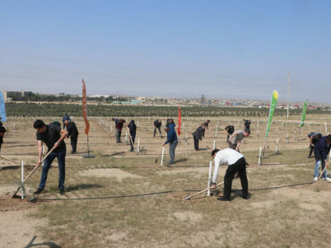 Heydər Əliyevin 100 illik yubileyi ilə əlaqədar ağacəkmə tədbirləri davam edir