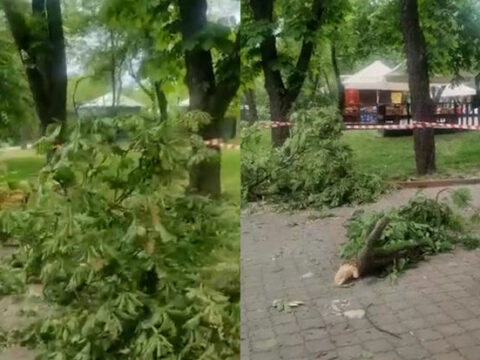 Kliçko raket qalıqlarının düşdüyü Kiyev zooparkını göstərdi