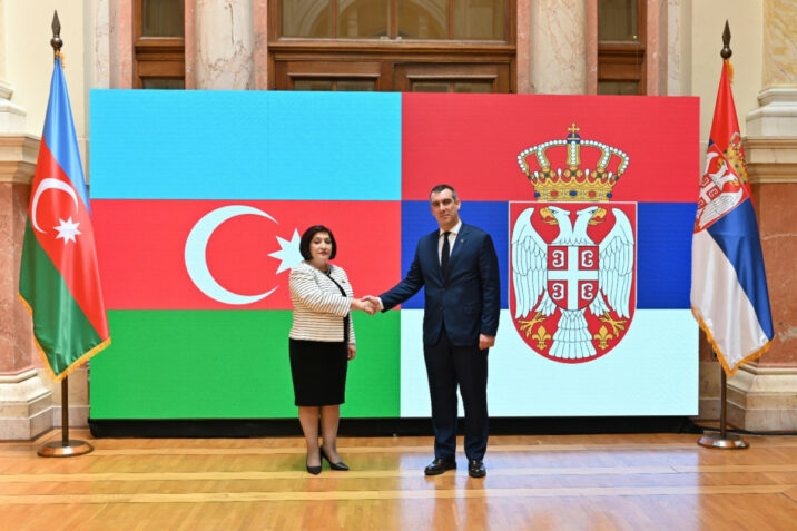 Sahibə Qafarova serbiyalı həmkarı ilə görüşdü 