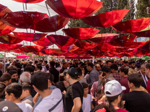 Nar Cəlilabad Festivalında iştirak etdi!