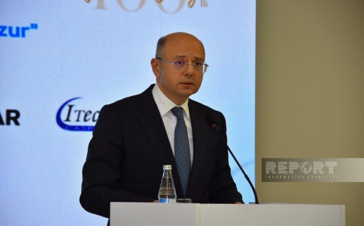“Naxçıvan “yaşıl enerji”nin həm mənbəyi, həm də marşrutu olacaq”
