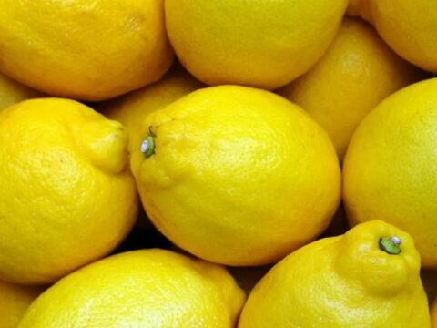 “Limondan istifadə etməzdən öncə onu dondursanız…”