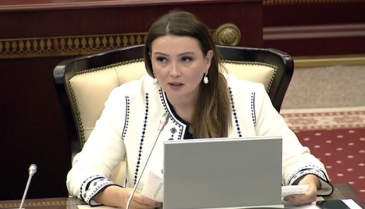 Qənirə Paşayeva Milli Məclisin iclasında vacib məsələlərə toxundu