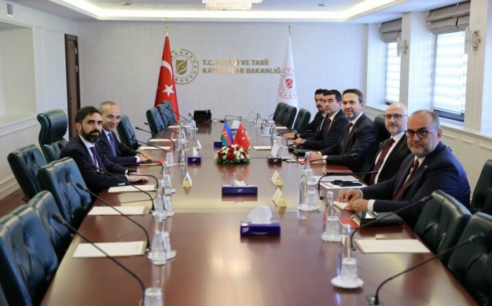 Azərbaycan və Türkiyə arasında iqtisadiyyat və enerji sahələrində gələcək əməkdaşlıq müzakirə olunub