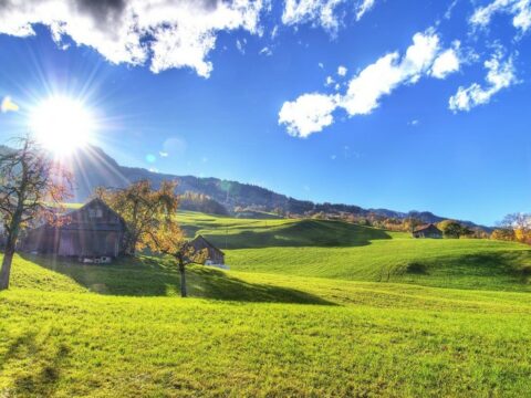 Havanın temperaturu iyunun 11-də iqlim normasından yuxarı olub