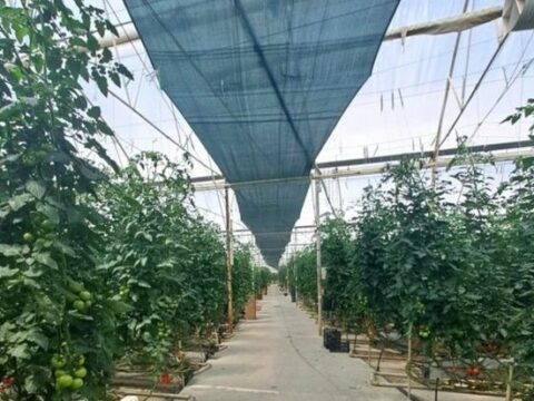 Bakıda istixanada nöqsanlar aşkarlanıb – FOTO