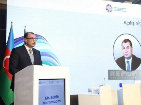 “Qarabağın minalardan təmizlənməsi prosesinin uzanması çətinliklər yaradır”
